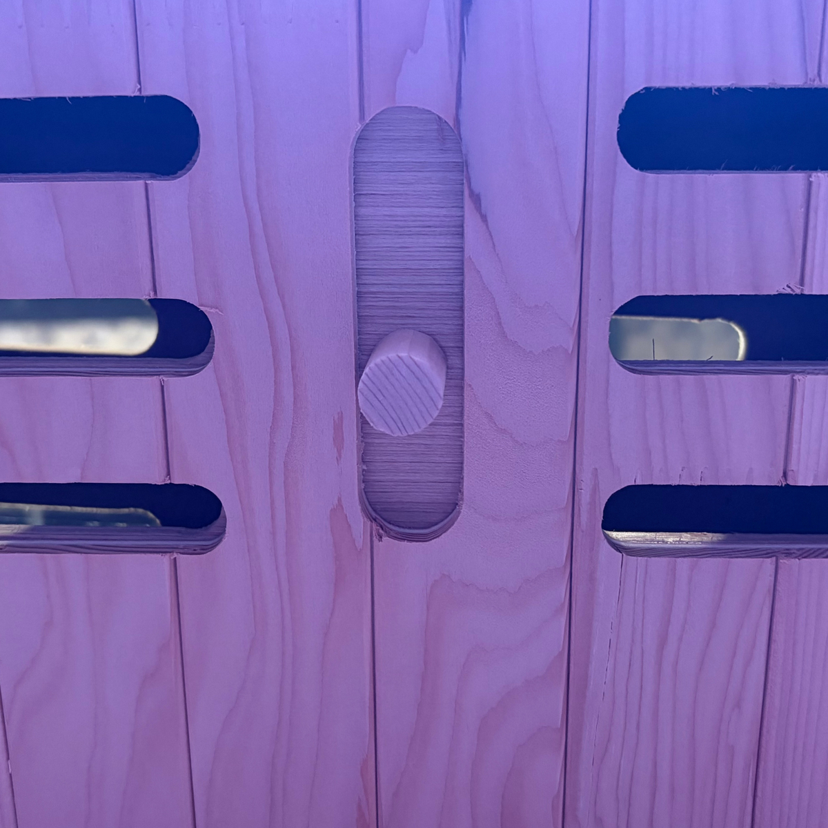 Blisspod  Malmo  All-In-One Infrared + Red Light Therapy 2 person Premium Sauna — product image