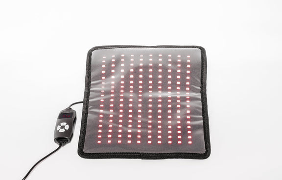 Red Light Neuropathy Support Kit for Feet – 3 Devices for Faster Relief | product photo 3 | Legacy & Longevity Co.